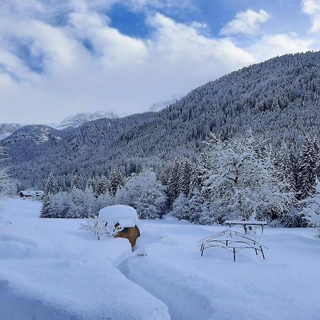 Maso Pin Bed & Breakfast Madonna di Campiglio Exterior photo