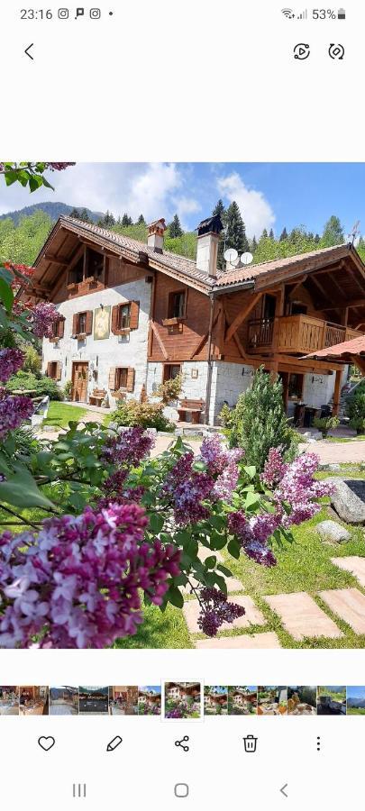 Maso Pin Bed & Breakfast Madonna di Campiglio Exterior photo