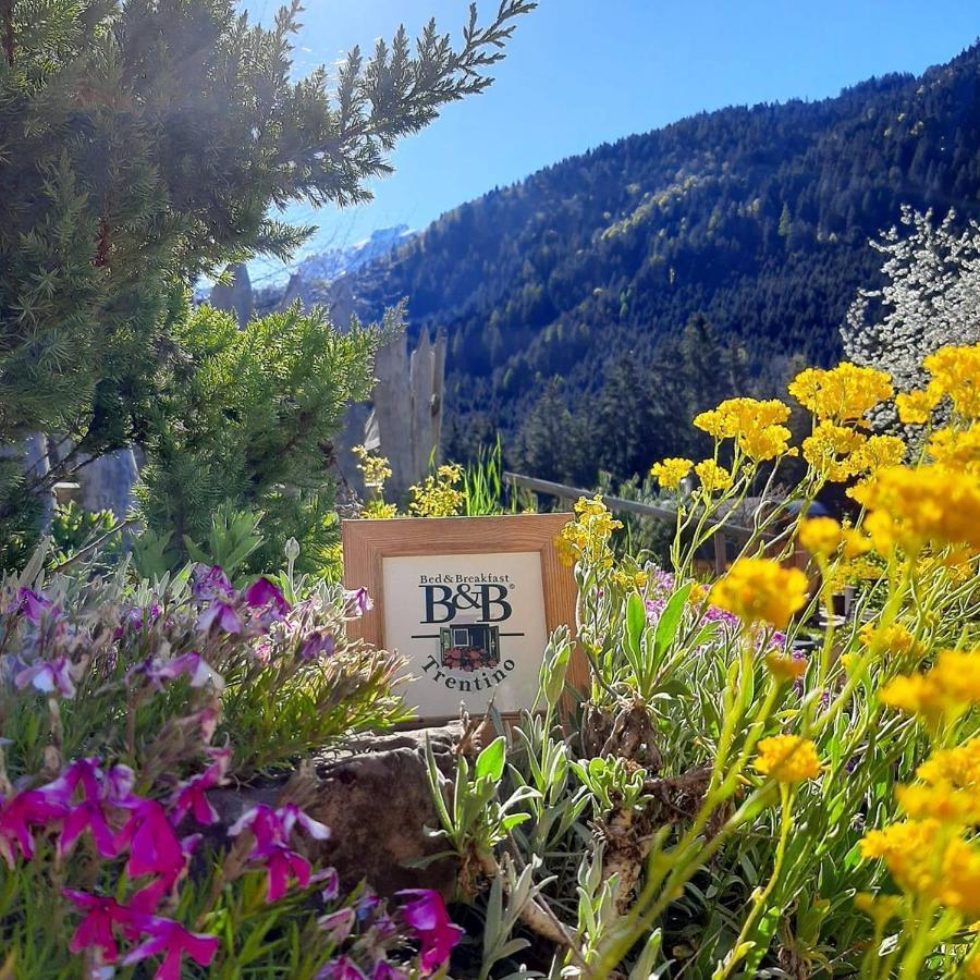 Maso Pin Bed & Breakfast Madonna di Campiglio Exterior photo