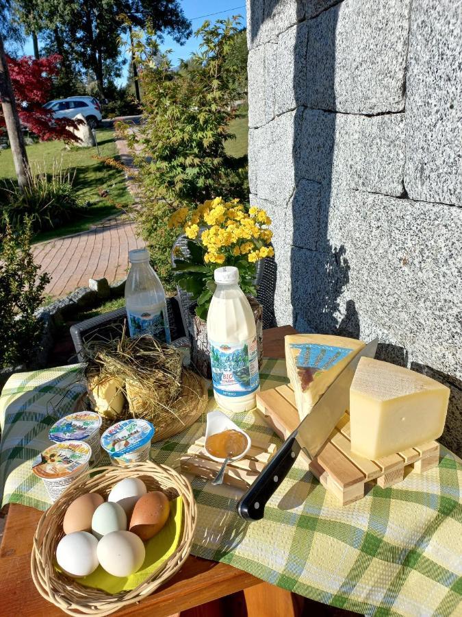 Maso Pin Bed & Breakfast Madonna di Campiglio Exterior photo