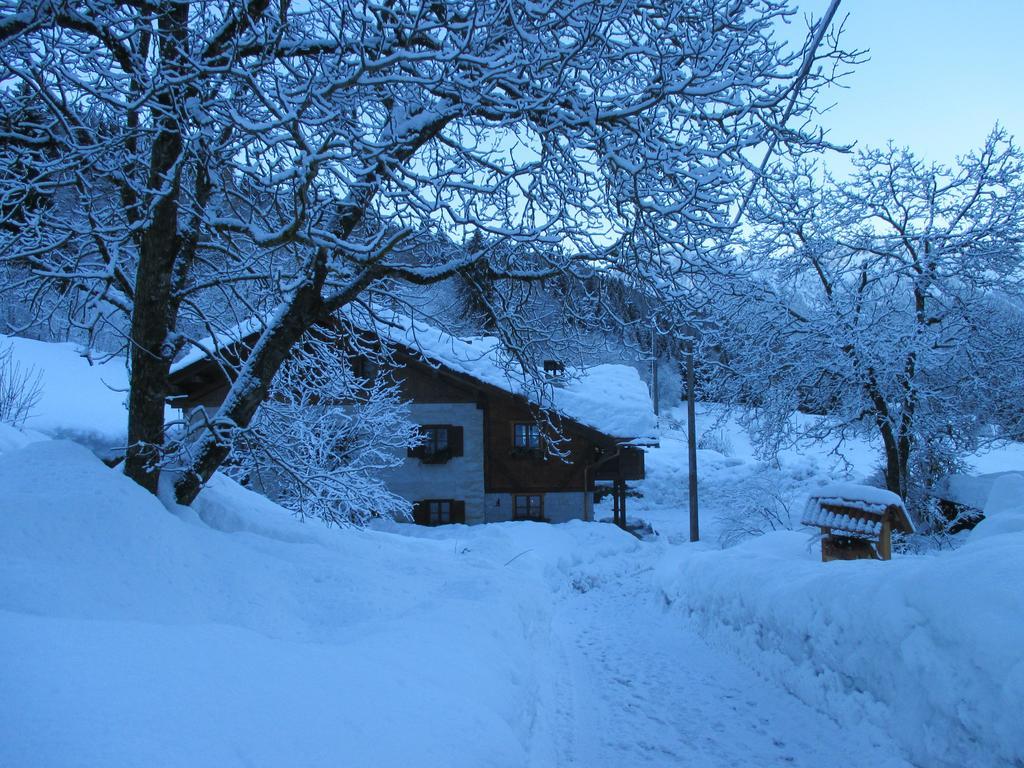 Maso Pin Bed & Breakfast Madonna di Campiglio Exterior photo