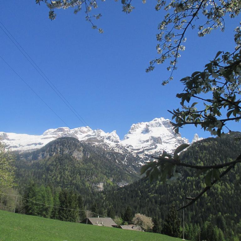 Maso Pin Bed & Breakfast Madonna di Campiglio Exterior photo