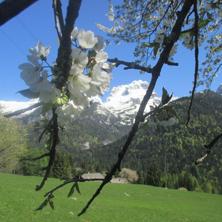 Maso Pin Bed & Breakfast Madonna di Campiglio Exterior photo