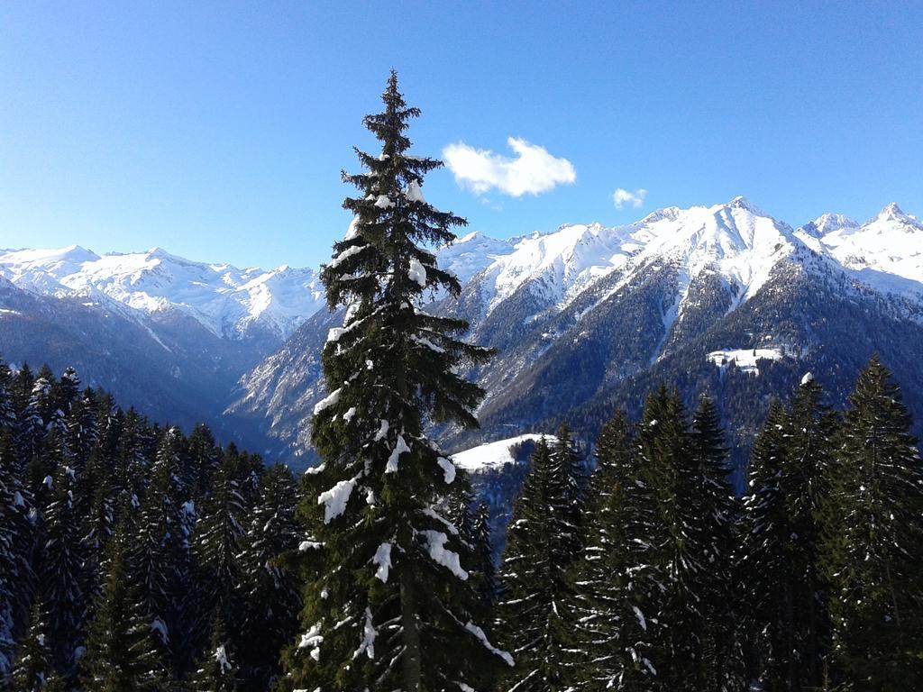 Maso Pin Bed & Breakfast Madonna di Campiglio Exterior photo
